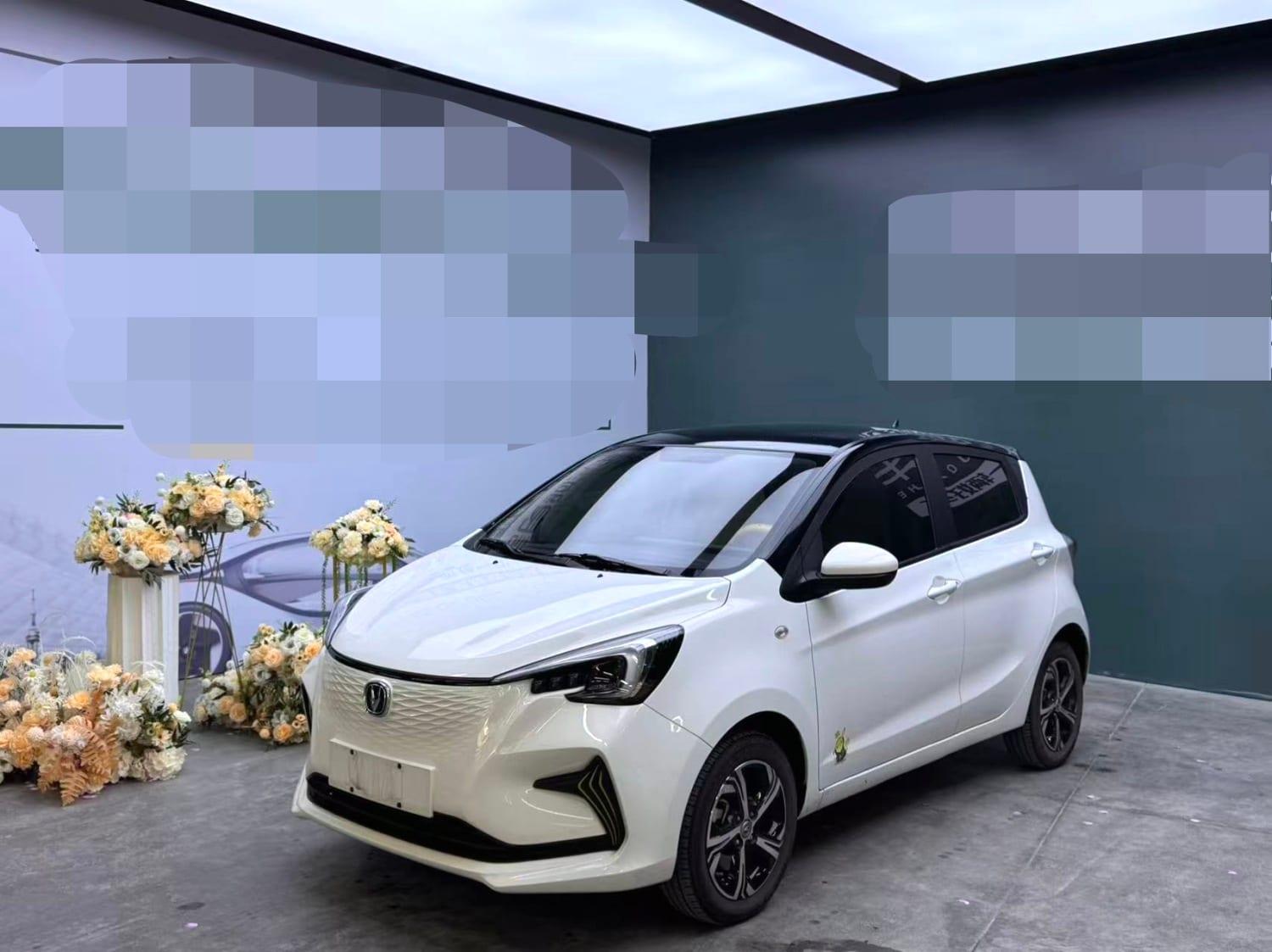 2020 Changan 奔奔E-Star 心动版 Used SUV — image 1