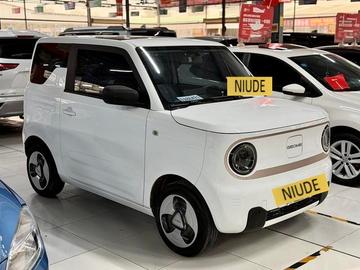 Geely Panda 200km 熊猫mini 灵动熊 - 1
