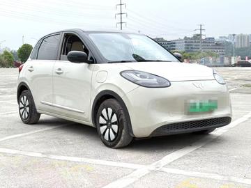 Wuling 缤果 - 2