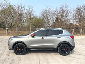 Haval H4 1.5GDIT Pro版 - 5