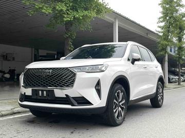 Haval H6 1.5T 两驱Max - 3